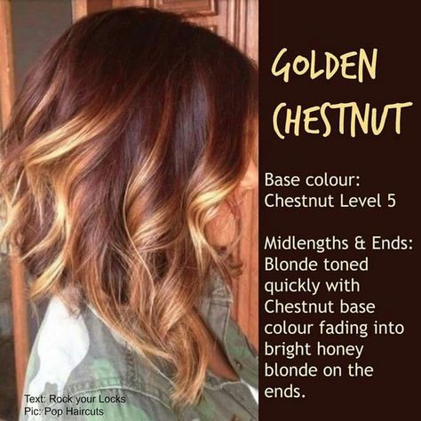 Hair color                                                                                                                                                                                 More Burgundy Lowlights In Blonde Hair, Winter Hair Colors, Chestnut Hair, Chestnut Hair Color, Winter Hair Color, Winter Hair, Brown Blonde Hair, Hair Color And Cut, Hair Inspiration Color