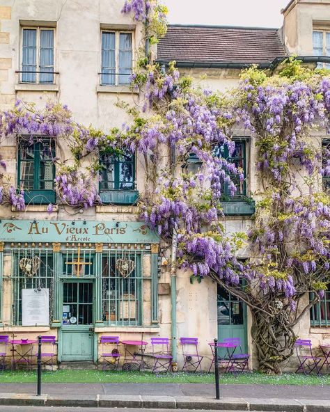 The Best Places to see Wisteria in Paris - Limitless Secrets Paris Spring Aesthetic, France In Spring, Paris Trip Planning, Spring Paris, Paris Garden, Paris In Spring, Spring In Paris, Springtime In Paris, Paris France Travel