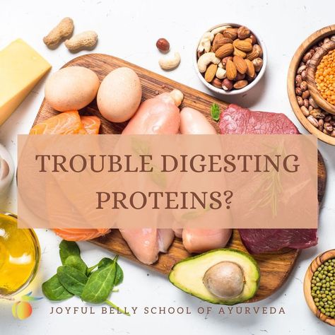 Sugar cravings are often a masked craving for proteins. Increasing protein intake can reduce sugar cravings. Trouble digesting proteins? Explore the Ayurvedic approach to improving protein digestion. o learn more about topics like this, enroll in the Mastering Ayurvedic Digestion & Nutrition online certification course: https://www.joyfulbelly.com/Ayurveda/course/Masters-of-Ayurvedic-Digestion-Nutrition-500-Hour-Certification/146 Easy To Digest Protein, Proteins Food, Reduce Sugar Cravings, Protein Intake, Sugar Cravings, Protein Foods, Boost Energy, Food Cravings, Ayurveda