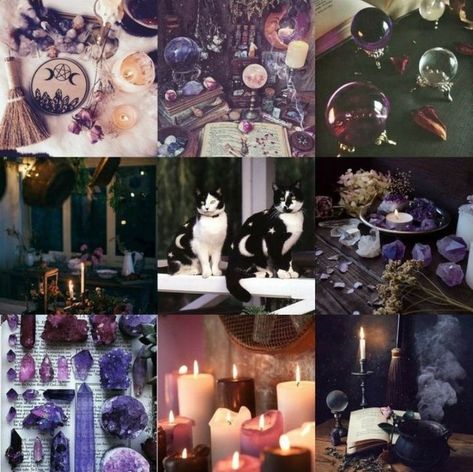 Witch Aesthetic Moodboard, Moodboard Character Inspiration, Witch Moodboard Aesthetic, Halloween Mood Board Aesthetic, Animal Mood Board, Animal Moodboard Aesthetic, Cat Color Palette, Moodboard Inspiration Mood Boards Ideas, Adopt Moodboard