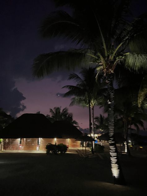 #mauritius #night #stars #beach #islandlife #travel #holiday Mauritius At Night, Mauritius Island, Night Stars, Island Life, Mauritius, At Night, Stars, Travel, Quick Saves