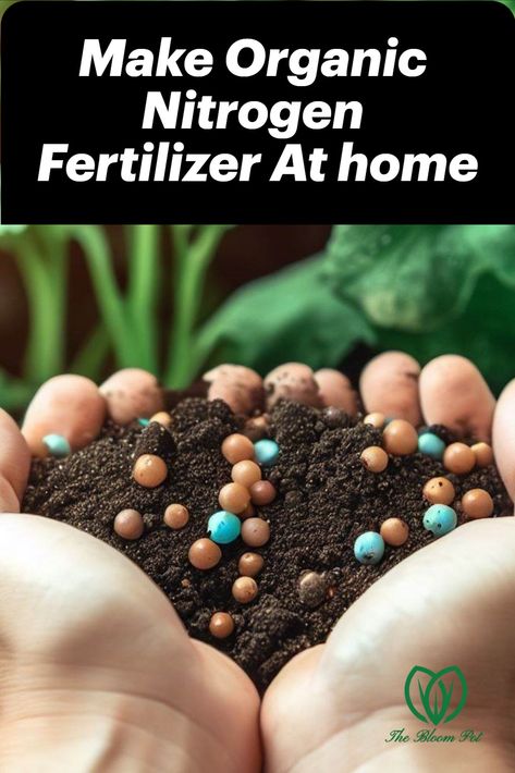 Make nitrogen fertilizer for your garden at home with around the corner ingredients. Nitrogen For Plants, Homemade Plant Fertilizer, Natural Plant Fertilizer, Diy Fertilizer, Organic Fertilizers, Plant Fertilizer, Japanese Plants, Noni Fruit, Natural Fertilizer