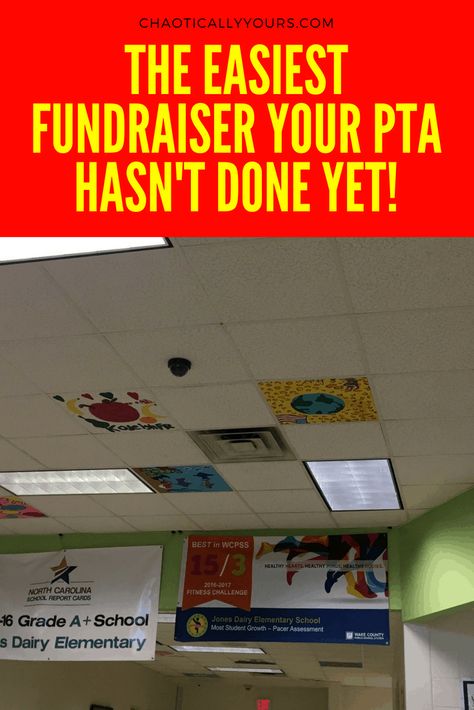 Fundraiser Ideas School, Pta Events, Charity Work Ideas, Pta Fundraising, Easy Fundraisers, School Pto, Fundraising Activities, Pta School, Student Growth