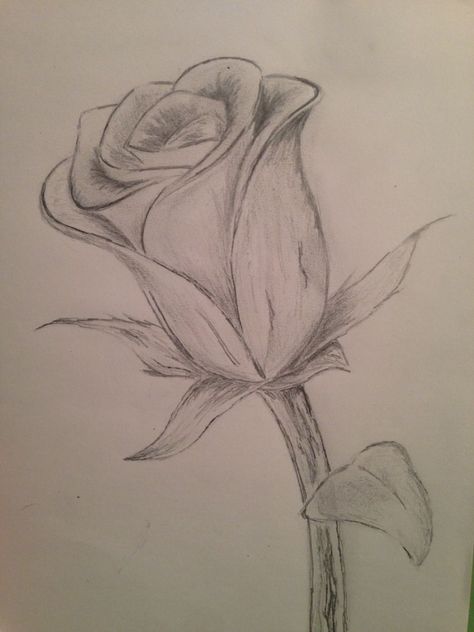 Cool Flower Drawings, Pencil Drawings Of Flowers, Flower Drawings, Drawing Eyes, Drawing Hair, Art Drawings Sketches Pencil, Learn Drawing, Flower Sketches, Roses Drawing