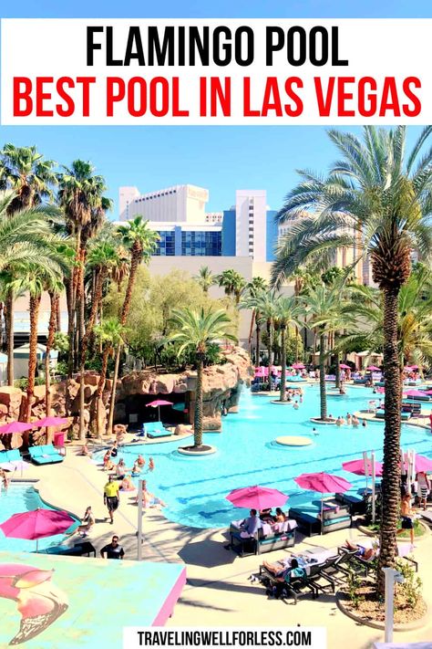 The Flamingo Pool is one of the best pools in Las Vegas. In the center of the Las Vegas Strip, the Flamingo Las Vegas Hotel & Casino offers two pools, waterfall, lagoon, and waterslides | Flaming Pool | Flamingo Las Vegas Pool | Go Pool | Beach Club | best pools in Las Vegas | best Vegas pools | Las Vegas pools | Flamingo Las Vegas Hotel & Casino | #travelwell4less Pools Waterfall, Vegas Paris Hotel, Best Pools In Vegas, Flamingo Hotel Las Vegas, Vegas Hotel Rooms, Best Pools, Las Vegas Pool, Flamingo Las Vegas, Enchanting Places