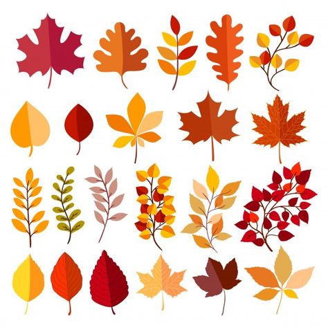 Autumn elements collection | Premium Vector #Freepik #vector #tree #leaf #cloud #thanksgiving Valentine Wallpapers, Drawing Hacks, Autumn Elements, Illustration Elements, Leaf Illustration, Autumn Illustration, Autumn Flowers, Leaf Drawing, Simple Doodles