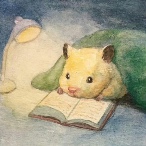 A Hamster, Reading A Book, A Book, Reading, Bed