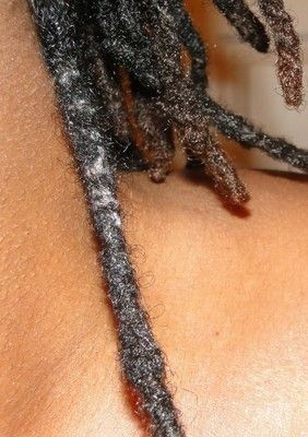 THINNING LOCS AT THE ROOT,MIDDLE AND THE END How To Start Dreadlocks, Loc Repair, Dreads Care, Dreadlocks Styles, Nappy Hair, Short Locs Hairstyles, Marley Hair, Two Strand Twist, Dreadlock Styles