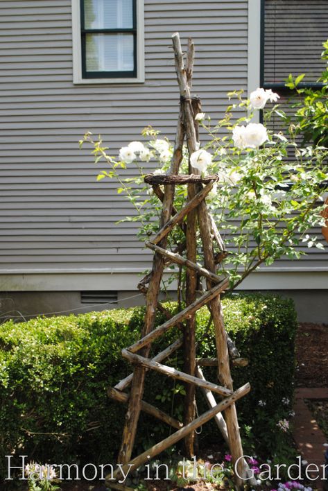 Diy Garden Trellis, Rose Trellis, Garden Vines, Garden Arbor, Have Inspiration, Garden Yard Ideas, Garden Trellis, Garden Structures, Veggie Garden