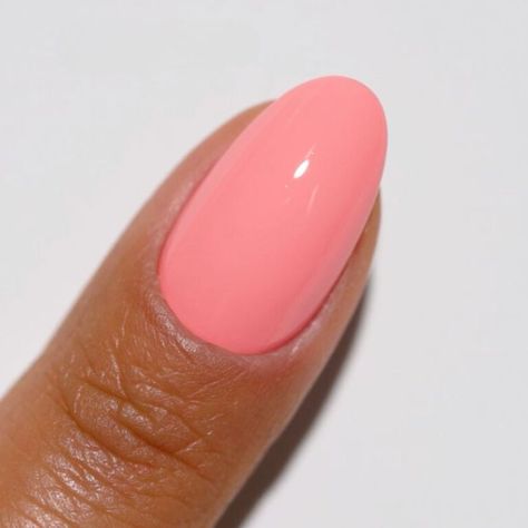 142 Don't Sugarcoat It Diva Gel & Polish Duo by DND Athletic Length Acrylic Nails, Summer Nails Ombre French, Coral Pearl Nails, Caribbean Nails Colors, Nail Colors For Beach Vacation, Dnd Gel Polish Colors Summer 2024, Shell Pink Nails, Coral Nails Dnd, Dnd Periwinkle Nails