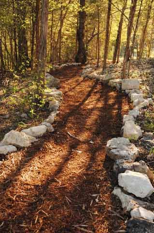 Enjoy well maintained walking paths through the woods. Cabin Indoor, Missouri Vacation, Ranch Landscaping, Cabin Resort, Luxury Cabins, Homesteading Diy, Wooded Landscaping, Stone Creek, Barn Plans