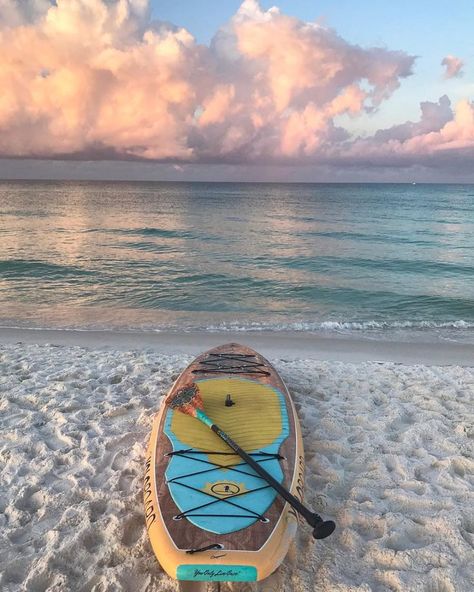 The Best Beaches on the Gulf Coast of Florida | Beautiful beaches, Gulf coast beaches, Florida gulf coast beaches Florida Gulf Coast Beaches, Gulf Coast Beaches, Beach Pink, Gulf Coast Florida, Coastal Lifestyle, Its Beautiful, Beach Lifestyle, Beach Beauty, Gulf Coast