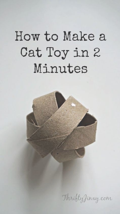 Cat Diys, Diy Cat Toys Easy, Katt Diy, Katt Grejer, Cat Illnesses, Natural Cat Food, Cat Beautiful, Homemade Cat Toys, Diy Pet Toys