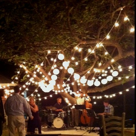 Adam &Ivy's rustic outdoor DIY wedding. The jazz band made the night. Live Band Wedding, Diy Wedding Lighting, Jazz Wedding, Outdoor Wedding Lighting, Jazz Party, Diy Outdoor Weddings, Table Centerpieces Diy, Lights Wedding Decor, Outdoor Music