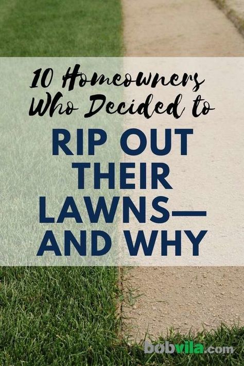 Replace Lawn With Garden, Front Yard Grass Replacement Ideas, Grass Free Yard Ideas, Alternatives To Grass In Front Yard, Grass Free Yard, Replace Lawn Ideas, Front Yard Landscaping No Grass Ideas Lawn Alternative, Lawn Replacement Ideas Grass Alternative, Replace Grass Lawn Alternative