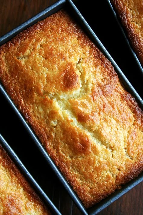 orange-ricotta loaves, just baked Ricotta Pound Cake, Orange Ricotta, Giada De Laurentiis Recipes, Homemade Pudding, Ricotta Cake, Kolaci I Torte, Torte Cupcake, Giada De Laurentiis, Loaf Cake