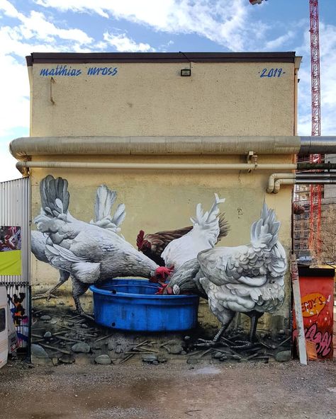 Chicken Mural, Creative Lighting Ideas, Building Mural, Street Art Illusions, Spring Dance, Installation Street Art, Street Mural, Street Painting, Urban Street Art