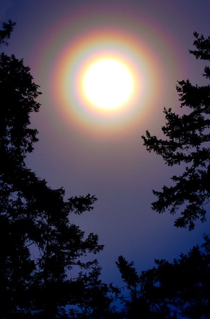 Ring around the Moon ~ The rings are caused by moonlight refracting off of ice crystals high in the atmosphere. Folklore says that a ring around the moon means that there's a storm coming. Ring Around The Moon, Moon Meaning, Sun Dogs, Ice Crystals, Moon Pictures, Beautiful Moon, Natural Phenomena, A Storm, Beautiful Sky