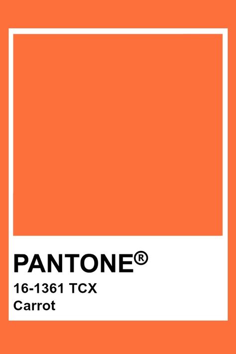 Pantone Carrot Orange Pantone, Pantone Orange, Pantone Tcx, Carrot Colour, Pantone Color Chart, Pantone Swatches, Pantone Palette, Pantone Colour Palettes, Dragon Fire