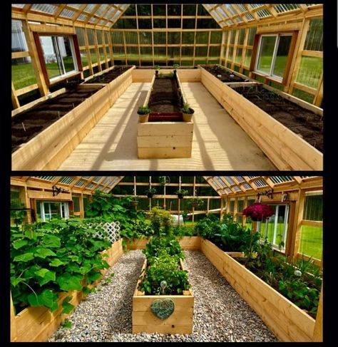 Green House Asthetics, Greenhouse Interiors Layout, Small Patio Garden Ideas, Patio Garden Ideas, Diy Greenhouse Plans, Outdoor Greenhouse, Garden Layout Vegetable, Small Patio Garden, Backyard Greenhouse