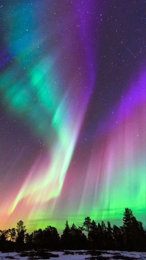 Aurora Borealis. Northern Lights Wallpaper, Northern Lights Art, Northern Lights Photography, Grafika Vintage, Northern Lights Painting, Northern Lights (aurora Borealis), Aurora Borealis Northern Lights, See The Northern Lights, Lit Wallpaper