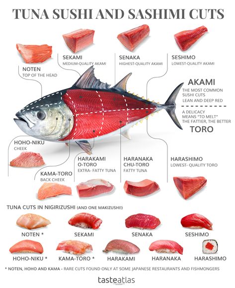 Not all bites of tuna sashimi and sushi are created equally! Learn the differences between tuna cuts that appear on sushi menus, from affordable Akami, to expensive O-toro. Resep Sushi, Sushi And Sashimi, Tuna Sashimi, Tuna Sushi, Sushi Menu, Food Infographic, Sushi Chef, Tuna Fish, Sushi Recipes