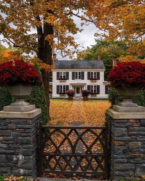 Autumn leaves and cozy homes—a perfect pairing! (via: @kailherc1) 📌 Save this and tag #bobvilahome in your house photos for a chance to be featured on our feed! #housesofinstagram #charminghouse #ilikehouses #houses #oldhousegram #oldhousecharm #charminghouses #beautifulhomes #charming #chasingfacades #frontporch #frontporchview #morningcoffeeview #uniquehouses English Colonial House Exterior, Colonial House Exterior Brick, Colonial Style Home Exterior, New England Colonial House Exterior, Brick Colonial House Exterior, New England Colonial House, Southern Colonial Homes, Brick Colonial House, Colonial Windows