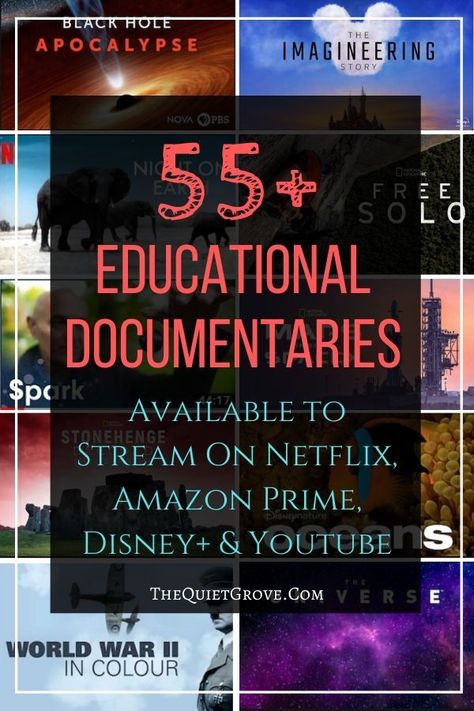 Educational Documentaries, Disney Youtube, Amazon Prime Shows, Documentary Movies, Best Documentaries, Homeschool High School, Homeschool Learning, Homeschool Help, Homeschool Planning