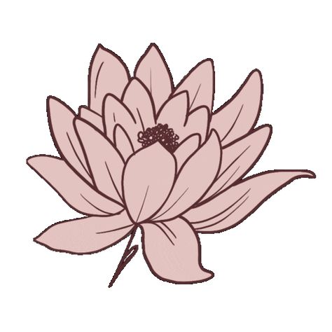 Flower Growing Animation, Lotus Drawing, Love Heart Gif, Heart Gif, Instagram Ideas Post, Vector Flowers, Drawing Videos, Instagram Ideas, Flower Illustration