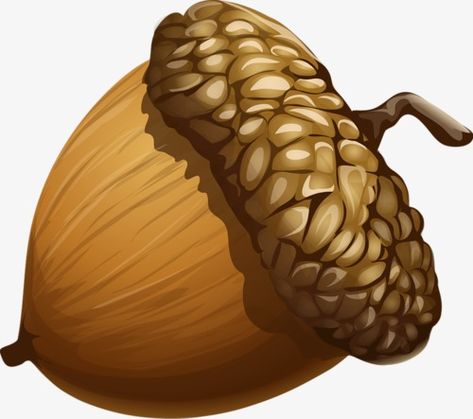 Acorn Image, Acorn Painting, Cartoon Trees, Photo Clipart, Free Clipart, Autumn Art, Free Png, Fall Crafts, Png Image