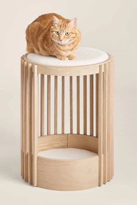 14 Minimalist Cat Trees for a Clutter-Free Home Cat Tree Designs, Cat Furniture Design, Modern Cat Furniture, Modern Cat Tree, Cat Seat, Cat Perch, Modern Pet, Modern Cat, Cat Tower