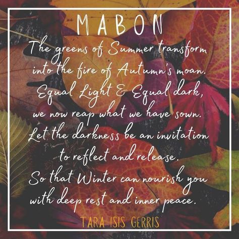 Autumnal Equinox Quotes, Fall Equinox Quotes, Autumn Equinox Quotes, Cycles In Nature, Witch Holidays, Deep Rest, New Month Quotes, Autumnal Equinox, Autumn Magic