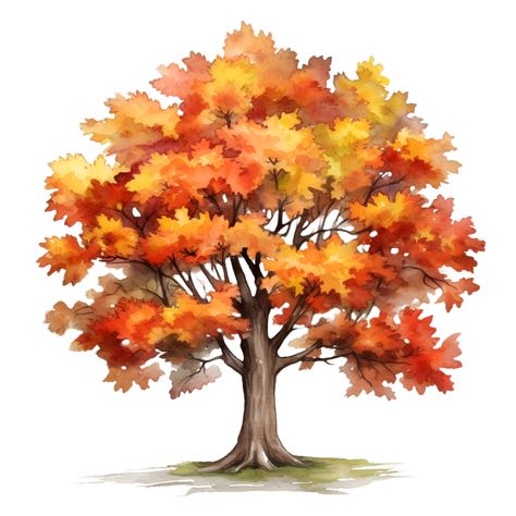 Fall Autumn Tree Watercolor Clipart AI Generated Fall Clip Art Free, Fall Clip Art, Fall Drawings, Tree Watercolor, Watercolor Christmas Tree, Watercolor Clip Art, Tree Clipart, Autumn Illustration, Autumn Tree