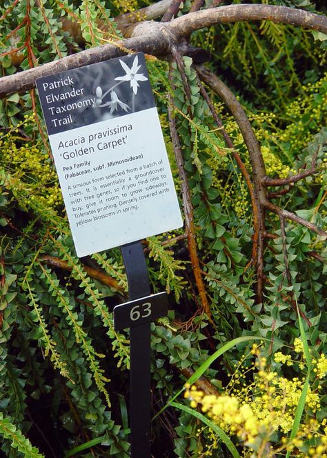 Eden By The Bay: Botanical Gardens: University of California, Santa Cruz Arboretum Farm Signage, Garden Signage, Uc Santa Cruz, Interpretive Signage, Park Signage, Plant Signs, Identify Plant, Garden Labels, Wayfinding Design