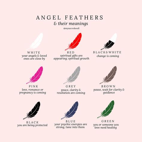 feathers are a symbol of connection to the spiritual realm. here’s some meanings behind their colours 🪶✨🪽 www.mysacredsoul.co.uk #signs #payattentiontothesigns #signsfromtheuniverse #signsfromabove #signsfromspirit #signsfromheaven #feathers #feathermeanings #synchronicity #synchronicities #feathermeanings #angelsigns #crystalshop #crystalshopuk #intuitivehealer #crystalhealer Feather Meaning Spiritual, Feather Symbolism Meaning, Spiritual Meaning Of Feathers, Feathers Spiritual Meaning, Feather Meaning Symbols Spiritual, Feather Spiritual Meaning, Feather Symbolism, Feather Signs, Feather Tattoo Meaning