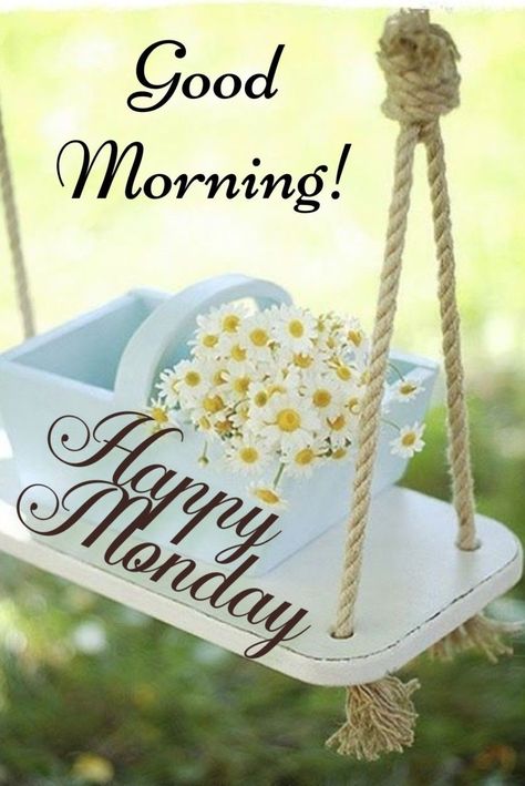 Monday Gif, Best Good Morning Quotes, Happy Monday Images, Monday Quote, Monday Wishes, Quotes To Brighten Your Day, Quotes To Start Your Day, Happy Monday Morning, Monday Morning Quotes