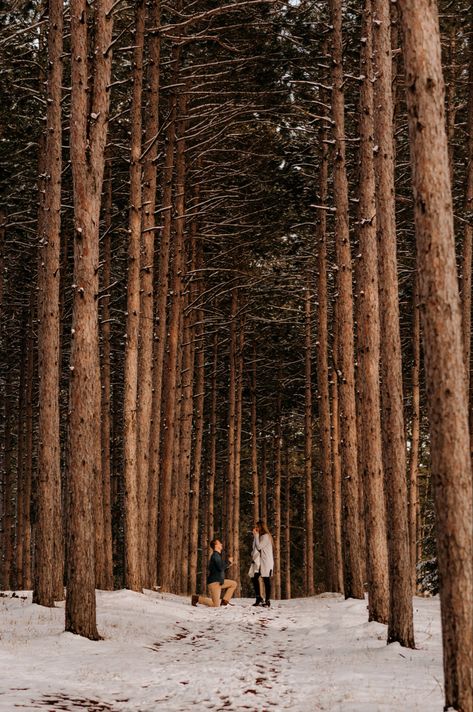 Winter Proposal Ideas Engagement, Country Proposal Ideas, Tree Farm Proposal, Christmas Engagement Proposal, Forest Proposal, Proposal Ideas Simple, Surprise Engagement Photos, Summer Proposal, Outdoor Proposal