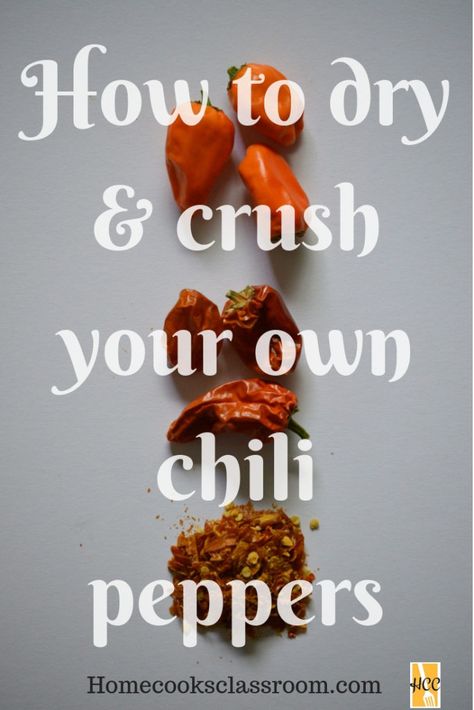 Homesteading Essentials, Garden Preservation, Hot Pepper Recipes, Dehydrated Fruits, Poblano Chili, Dried Red Chili Peppers, Flake Recipes, Thai Chili Pepper, Chili Pepper Recipes