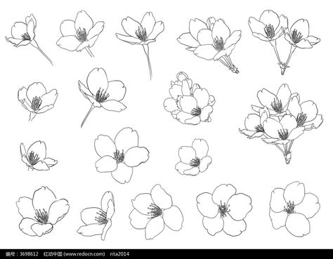 Cherry Blossom Illustration Drawings, Cherry Blossom Line Drawing, Cherry Blossom Drawing Simple, Cherry Blossom Drawing, Sketch Nature, Botanical Line Drawing, Illustration Botanique, Flower Sketches, Floral Drawing