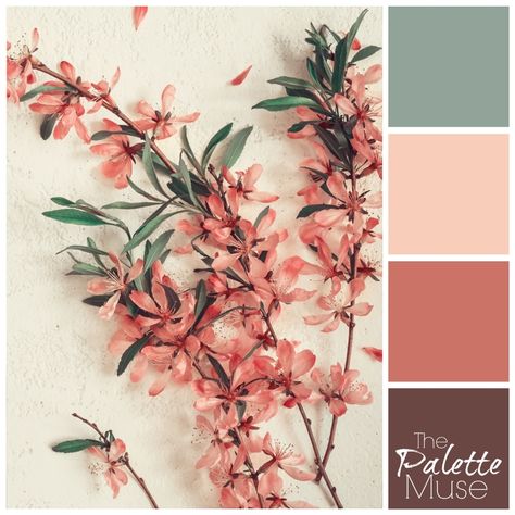 Muted Floral Color Palette, Terracotta Pink Colour Palette, Colour Palette 4 Colours, 4 Colors Palette, Spring Floral Color Palette, Dusty Pink Colour Palette, Muted Spring Color Palette, Palette Couleur Terracotta, Spring Colors Palette