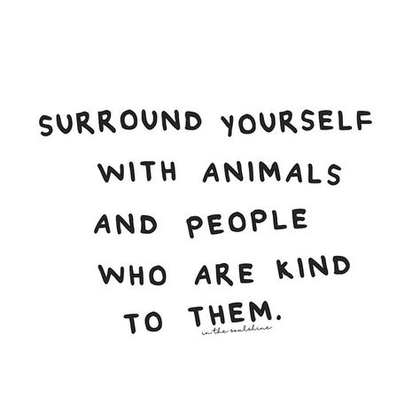 "Surround yourself with animals and people who are kind to them." Kindness To Animals Quotes, Animal Kindness Quotes, Animal Welfare Quotes, Animal Rights Quotes, Animal Activism, Vegan Quotes, Animal Welfare, Animal Quotes, Animal Rights