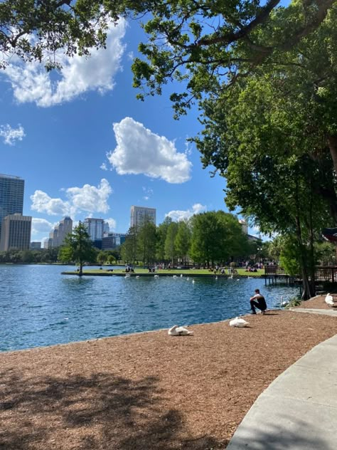 Lake Eola Orlando Florida orlando places to go orlando tourist orlando florida lakes Orlando Florida Photography, Downtown Orlando Aesthetic, Orlando Florida Aesthetic, Orlando Living, Orlando Pictures, Orlando Florida City, Florida Nostalgia, Orlando Aesthetic, Lake Eola Orlando