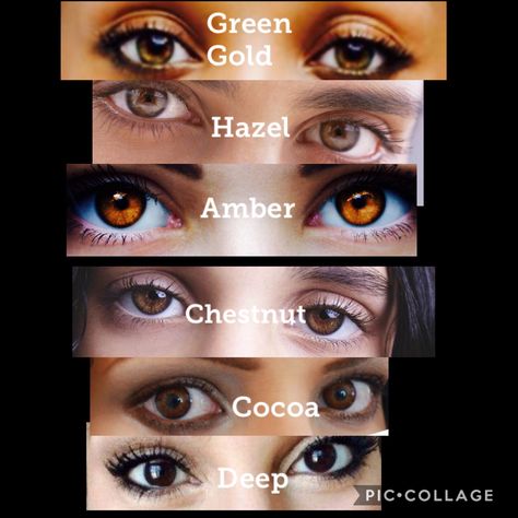 Brown Eye Color Shades, Shades Of Brown Eyes Chart, Types Of Brown Eyes, Dark Amber Eyes, Amber Eyes Aesthetic, Amber Colored Eyes, Hazelnut Eyes, Shades Of Brown Eyes, Amber Eyes Color