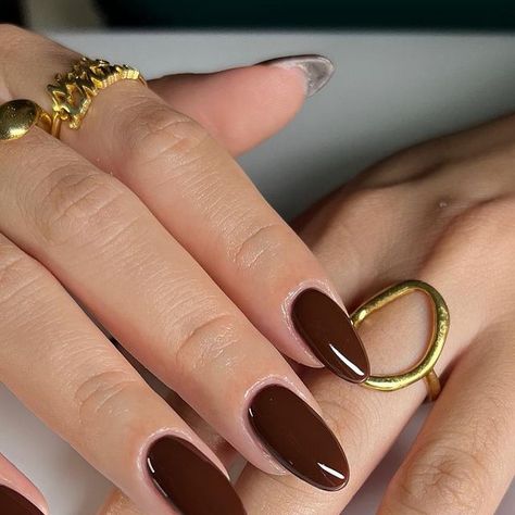 Mina🦋 on Instagram: "This beautiful chocolate brown is everything 🧸🍫🤎  Happy Sunday!! structured mani✨✨  @dndgel walnut brown  Dc:nailsxmina25 _____  #nailsxmina #almondnails #classynails #brownnails #nailsofinstagram #gelmani #gelx #structuredmani #gelxnailtech #naildesign #nailsinspiration #nailartist #nailsinstagram #growingnailtech #ignails #nailtech #nails #nailsnailsnails #explorepage #glazeddonutnails #nailart #naildesign #nailinspo #fallnails #nailinspodaily #nailsoftheday #nailsofinsta #nailsoftheday #nailsonfleek #nailaddict" Deep Brown Nails Acrylic, Almond Short Brown Nails, Manicure Brown Nails, Brown Nails Chocolate, Nails To Go With A Brown Dress, Chocolate Colour Nails, Brown Nail Almond, Plain Classy Nails, Mocha Colored Nails