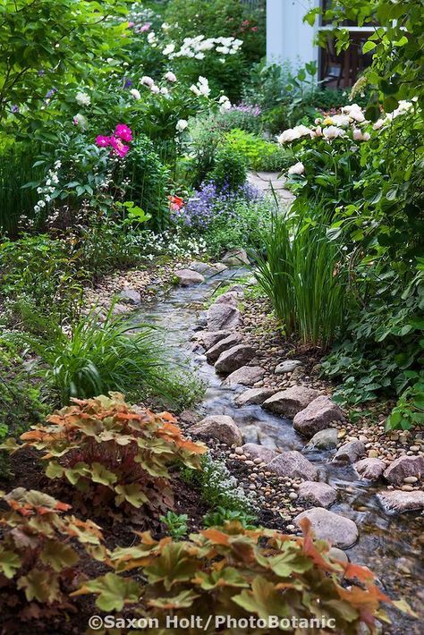 Backyard Stream, Garden Stream, Taman Air, Garden Water Feature, Pond Landscaping, Backyard Water Feature, Waterfalls Backyard, Have Inspiration, Water Features In The Garden