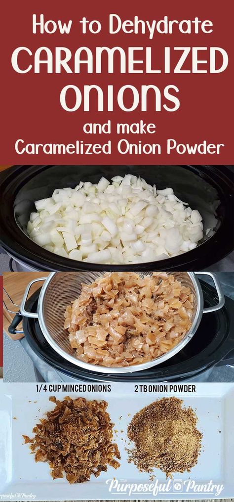 Love French's Onions on your green bean casserole? DIY a dehydrated caramelized onion that tastes SO much like it, and is SO much healthier! The step-by-step is easy, and the benefit of the powder you can make from it is amazing!!! Caramelized Onion Pizza, Pizza Vegana, Caramelized Onion Dip, Carmelized Onions, Onion Soup Recipes, Sour Foods, Minimalist Baker, Vegetable Side, Dehydrated Food