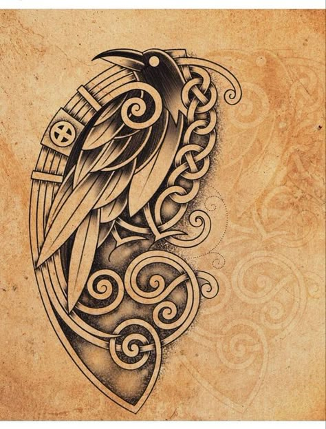 Raven Knotwork Tattoo, Nordic Raven Tattoo Design, Mens Celtic Tattoos, Womens Viking Tattoos, Celtic Raven Tattoo Design, Viking Warrior Tattoos For Women, Celtic Woman Tattoo, Traditional Celtic Tattoos, Traditional Viking Tattoos For Women