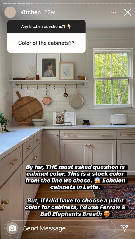 Elephant Breath Farrow And Ball, Elephants Breath Kitchen, Farrow And Ball Kitchen, Elephants Breath, Mushroom Paint, Cabinet Paint Colors, Army Wife, Cabinet Colors, Color Lines