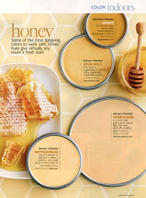 Better Homes and Gardens - Honey | January 2010 Ideal House, Color Boards, Paint Color Palettes, Paint Swatches, Interior Painting, Hus Inspiration, Color Paint, Interior Paint Colors, Small Homes