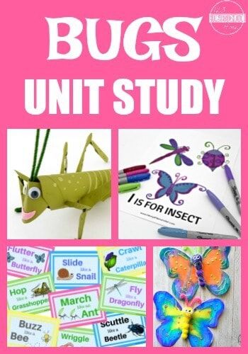 Bugs Unit Study - So many fun, clever, and educational learning activities for preschool, kindergarten, first grade, 2nd grade, 3rd grade, 4th grdae, and 5th grade kids to learn about bugs and insects this spring or summer. Perfect for hands on learning, summer learning, and school unit studies. Homeschooling Subjects, Homeschooling Toddlers, Learning Activities For Preschool, Homeschool Styles, Homeschooling Kindergarten, 123 Homeschool 4 Me, Bug Activities, Insect Unit, Kindergarten Units